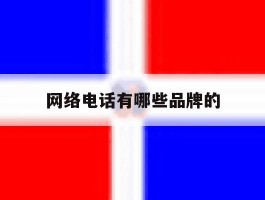 网络电话有哪些品牌的