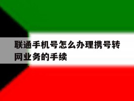 联通手机号怎么办理携号转网业务的手续的简单介绍