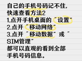 移动手机号如何查询实名信息呢电话