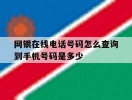 网银在线电话号码怎么查询到手机号码是多少