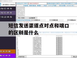 短信发送渠道点对点和端口的区别是什么