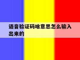 语音验证码啥意思怎么输入出来的