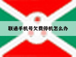 联通手机号欠费停机怎么办