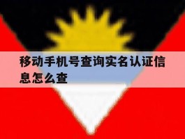 移动手机号查询实名认证信息怎么查