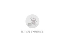 4g网络电话怎么打不出去呢苹果手机的简单介绍
