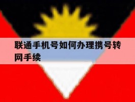 联通手机号如何办理携号转网手续