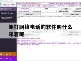 能打网络电话的软件叫什么来着呢
