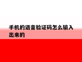 手机的语音验证码怎么输入出来的