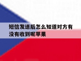 短信发送后怎么知道对方有没有收到呢苹果