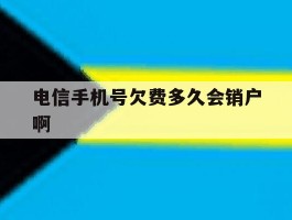 电信手机号欠费多久会销户啊