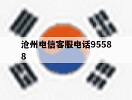 沧州电信客服电话95588