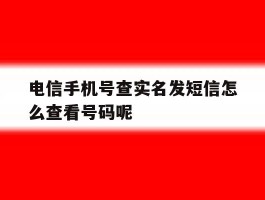 包含电信手机号查实名发短信怎么查看号码呢的词条