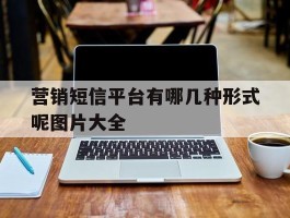 营销短信平台有哪几种形式呢图片大全