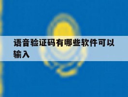 语音验证码有哪些软件可以输入