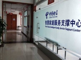 电信手机号码多少客服能查到