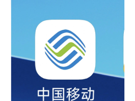移动手机号的服务密码是什么意思呀
