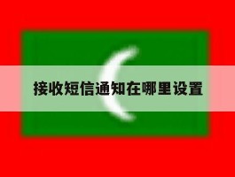 接收短信通知在哪里设置