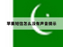 苹果短信怎么没有声音提示