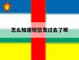 怎么知道短信发过去了呢