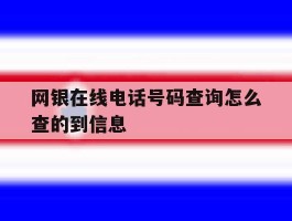 网银在线电话号码查询怎么查的到信息