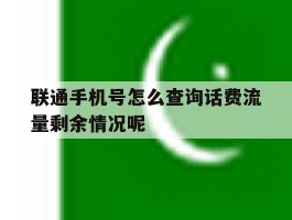 包含联通手机号怎么查询话费流量剩余情况呢的词条