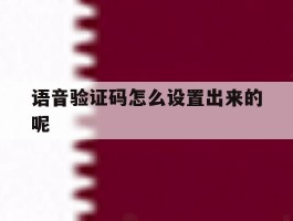 语音验证码怎么设置出来的呢