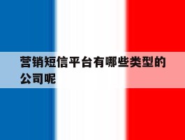 营销短信平台有哪些类型的公司呢的简单介绍