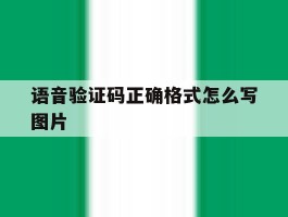 语音验证码正确格式怎么写图片