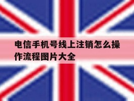 包含电信手机号线上注销怎么操作流程图片大全的词条