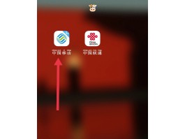 中国移动手机号变更户主流程图