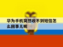 华为手机突然收不到短信怎么回事儿呢