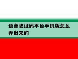语音验证码平台手机版怎么弄出来的