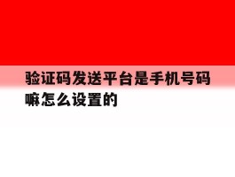验证码发送平台是手机号码嘛怎么设置的