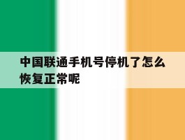 中国联通手机号停机了怎么恢复正常呢