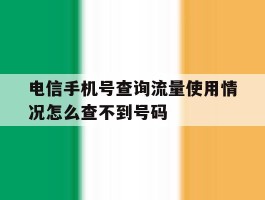 关于电信手机号查询流量使用情况怎么查不到号码的信息