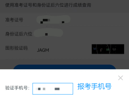 语音验证码在线使用平台官网查询