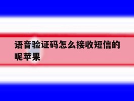 语音验证码怎么接收短信的呢苹果