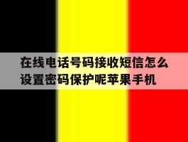 关于在线电话号码接收短信怎么设置密码保护呢苹果手机的信息