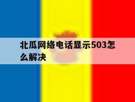 北瓜网络电话显示503怎么解决