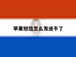 苹果短信怎么发送不了