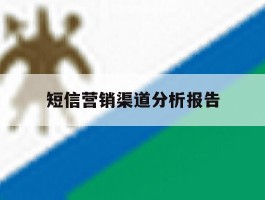 短信营销渠道分析报告