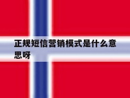 正规短信营销模式是什么意思呀