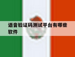 语音验证码测试平台有哪些软件