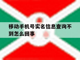 移动手机号实名信息查询不到怎么回事