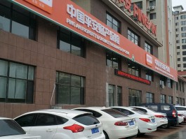包含平安人寿保险公司的客服电话号码是多少的词条