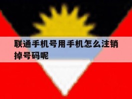 包含联通手机号用手机怎么注销掉号码呢的词条