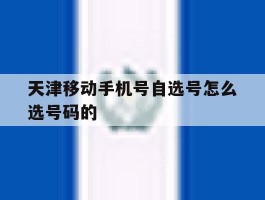 天津移动手机号自选号怎么选号码的