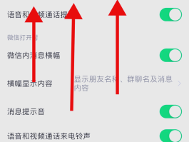 短信发送不了怎么办呢苹果11