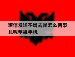 短信发送不出去是怎么回事儿呢苹果手机