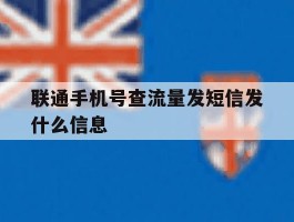 联通手机号查流量发短信发什么信息